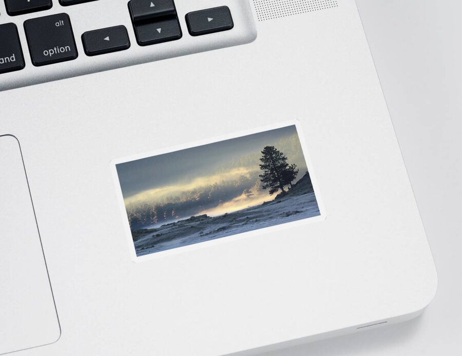 Fog Sticker featuring the photograph Fog At Sunrise by Shane Bechler