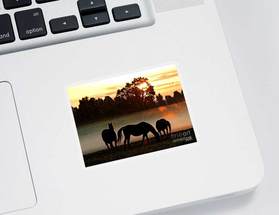 Horse Sticker featuring the digital art Foggy Morning by CAC Graphics