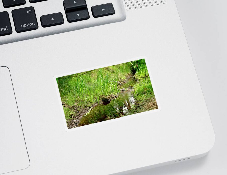 Brook Sticker featuring the photograph Forest Brook by Elena Perelman