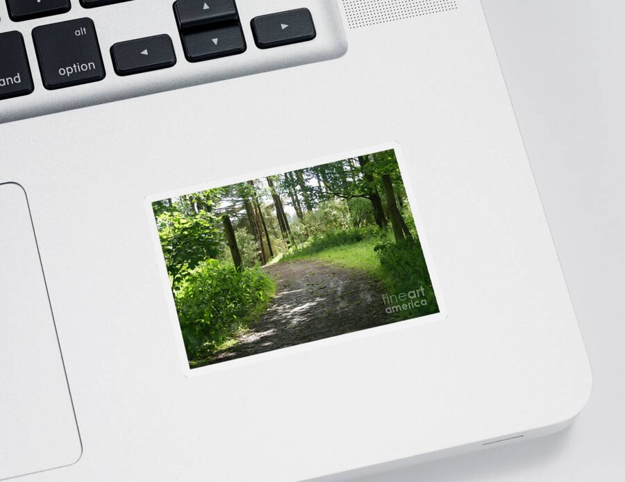 Forest Sticker featuring the photograph Forest path. by Elena Perelman