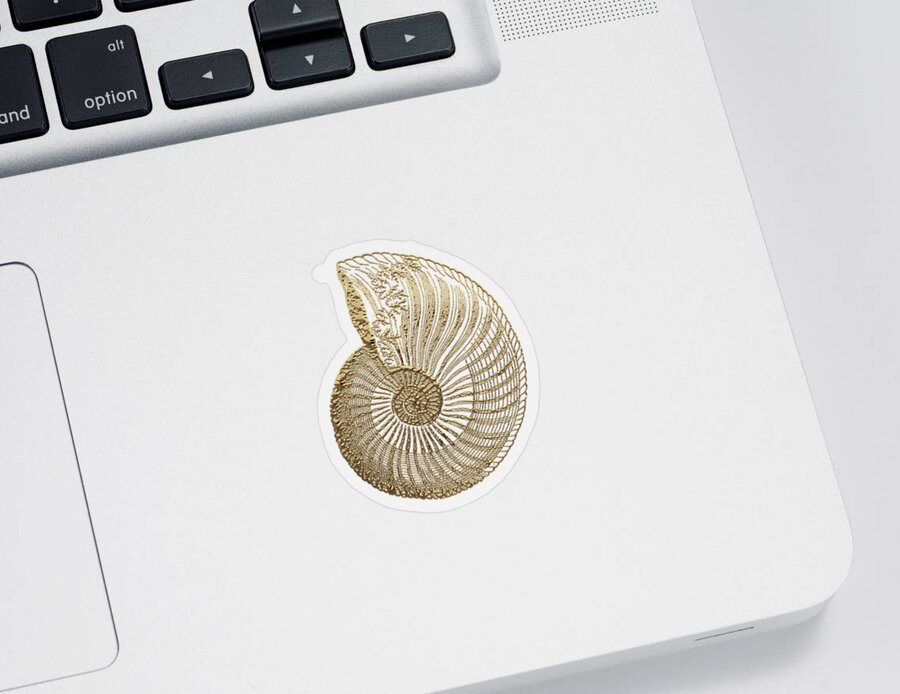 'fossil Record' Collection By Serge Averbukh Sticker featuring the digital art Fossil Record - Golden Ammonite Fossil on Square Black Canvas #1 by Serge Averbukh