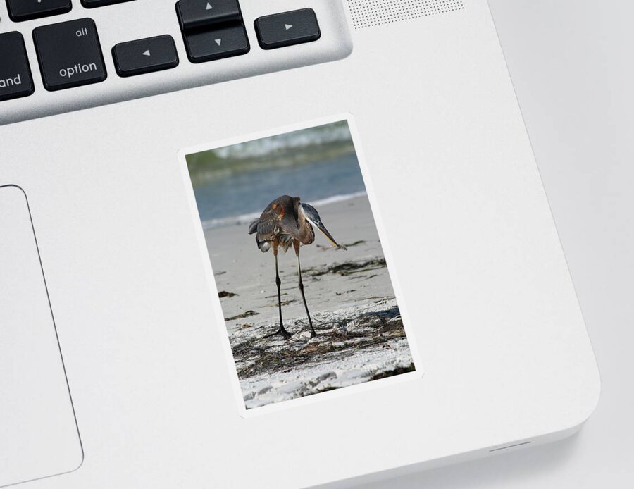  Heron Sticker featuring the photograph Found A Shrimp by Christiane Schulze Art And Photography