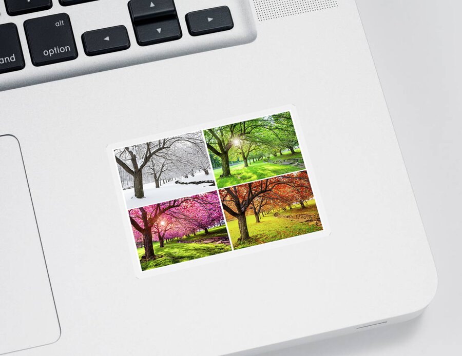 Leaves Sticker featuring the photograph Four Seasons by Mihai Andritoiu