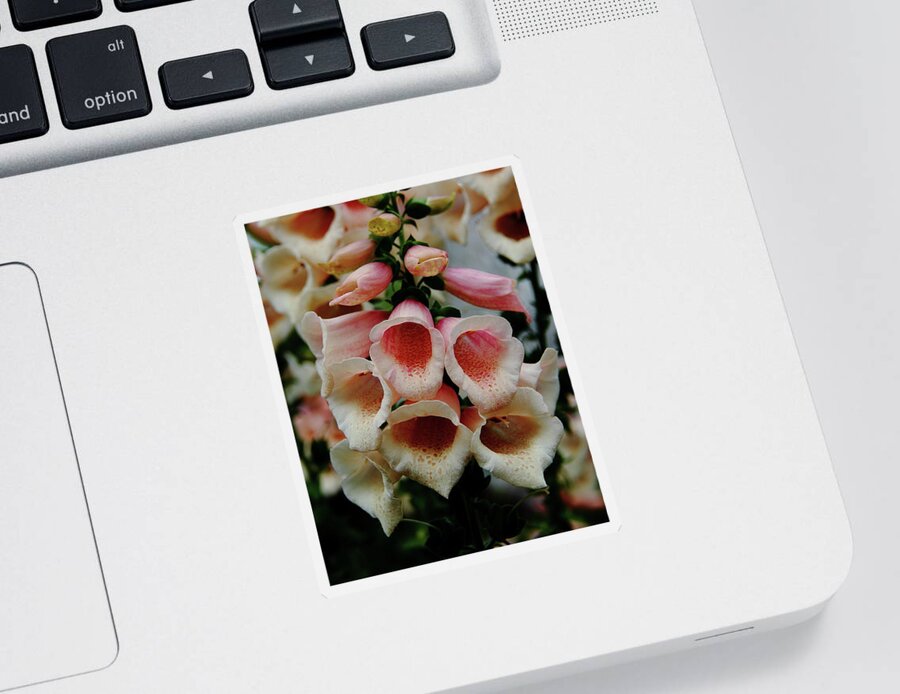 Flower Sticker featuring the photograph Foxglove Wonderment by Allen Nice-Webb