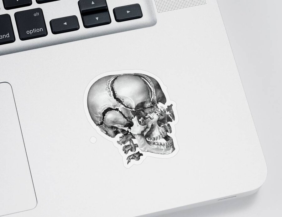 Skull Sticker featuring the drawing Fragmented Human Skull - Vintage Anatomy Print by Vintage Anatomy Prints