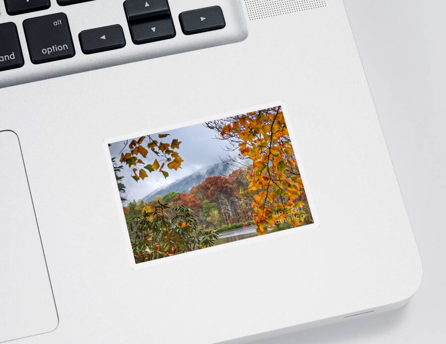 Autumn Sticker featuring the photograph Framed by Fall by Kerri Farley