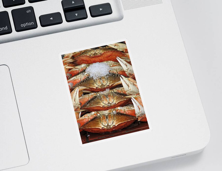 Darin Volpe Food Sticker featuring the photograph Fresh Crabs - San Francisco California by Darin Volpe