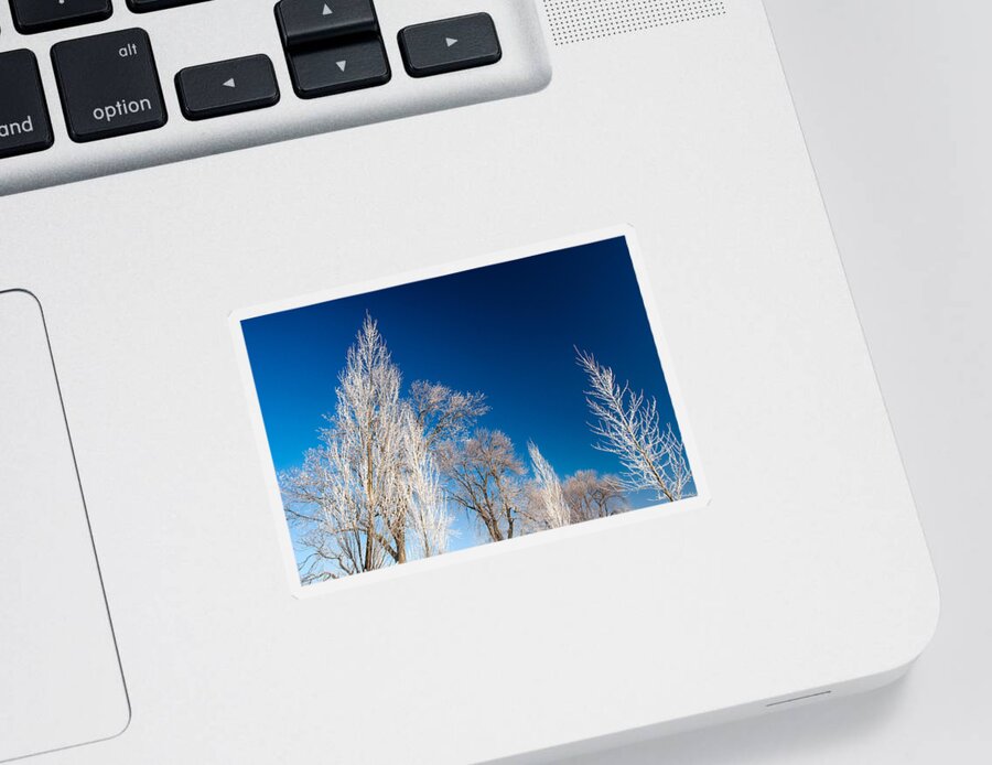 Frost Sticker featuring the photograph Frost Covered Trees by Todd Klassy