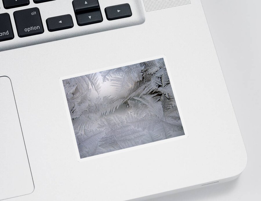 Frost Sticker featuring the photograph Frosted Pane by Rhonda Barrett
