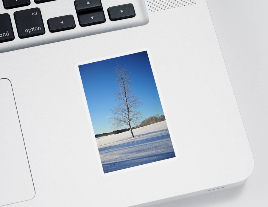 Season Sticker featuring the photograph Frozen Birch by Randi Grace Nilsberg