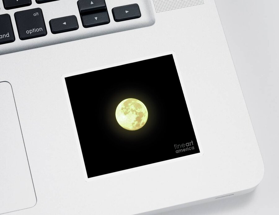 Moon Sticker featuring the photograph Full Moon August 2014 by D Hackett