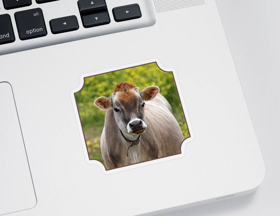 Jersey Cow Sticker featuring the photograph Funny Jersey Cow -Square by Gill Billington