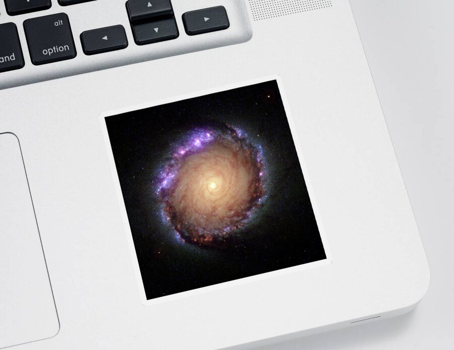 Barred Sticker featuring the painting Galaxy NGC 1512 by Hubble Space Telescope