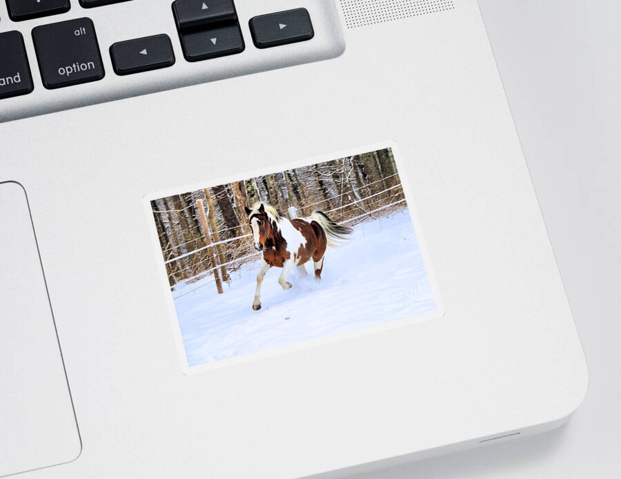 Hazel Sticker featuring the photograph Galloping in the Snow by Elizabeth Dow
