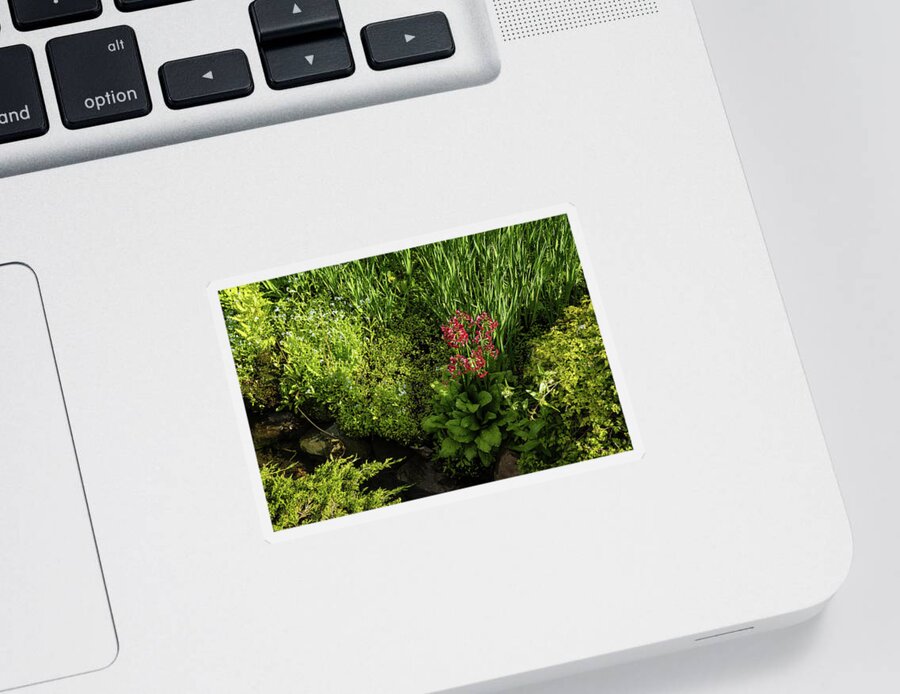 Georgia Mizuleva Sticker featuring the photograph Gardening Delights - Miniature Creek with Red Primrose by Georgia Mizuleva