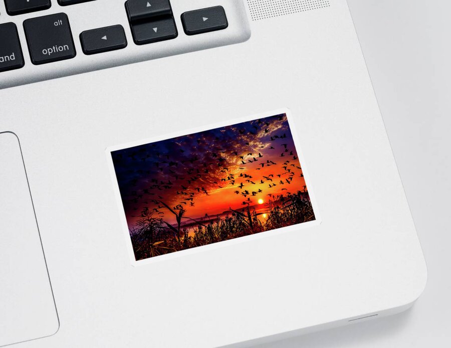 Geese Sticker featuring the photograph Geese At Sunset by Mountain Dreams