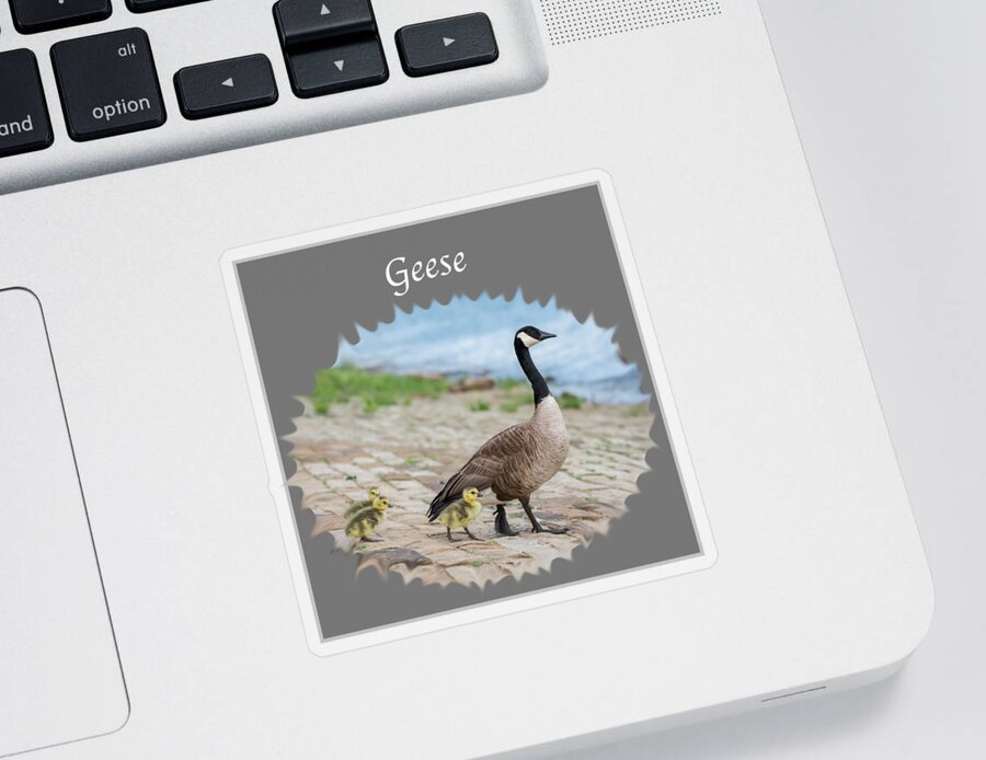 Geese Sticker featuring the photograph Geese in the Clouds by Holden The Moment