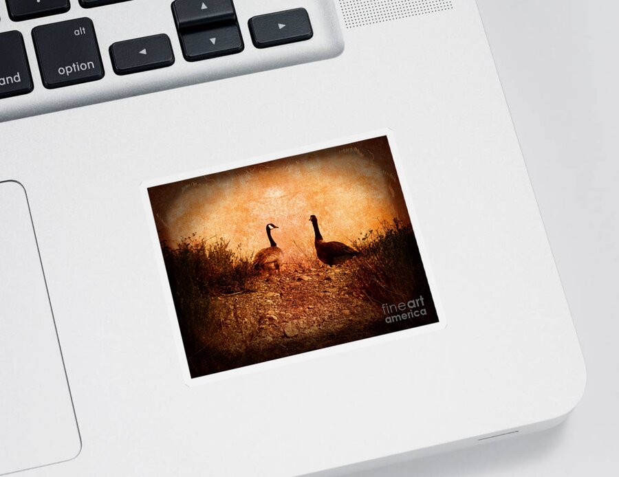 Nature Sticker featuring the photograph Geese on a Hill by Laura Iverson
