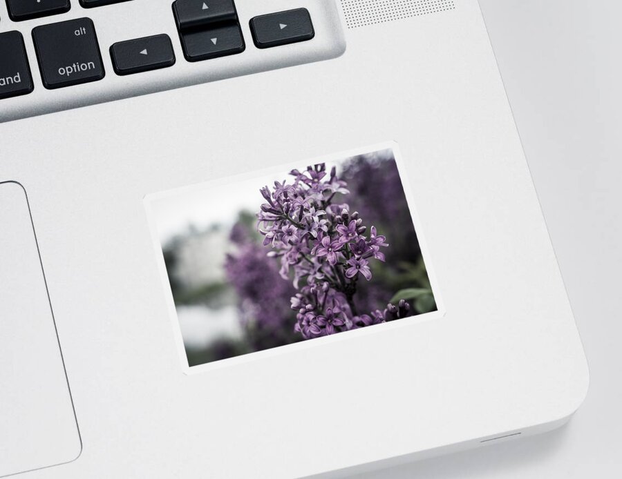 Miguel Sticker featuring the photograph Gentle Spring Breeze by Miguel Winterpacht