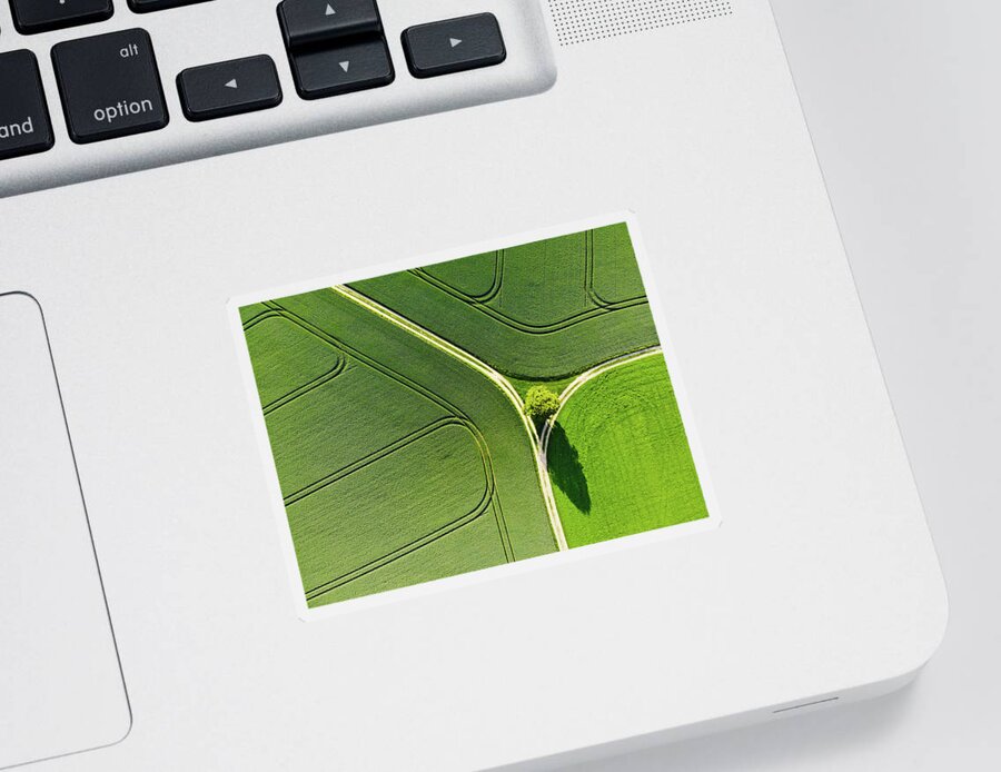 Green Landscape Sticker featuring the photograph Geometric landscape 05 Tree and green fields aerial view by Matthias Hauser