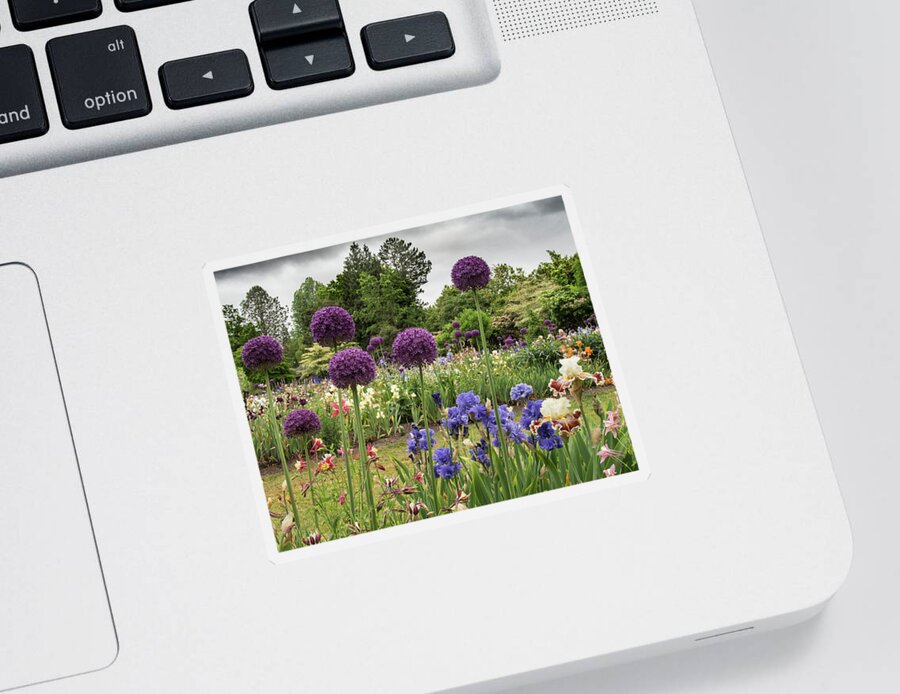 Jean Noren Sticker featuring the photograph Giant Allium Guards by Jean Noren