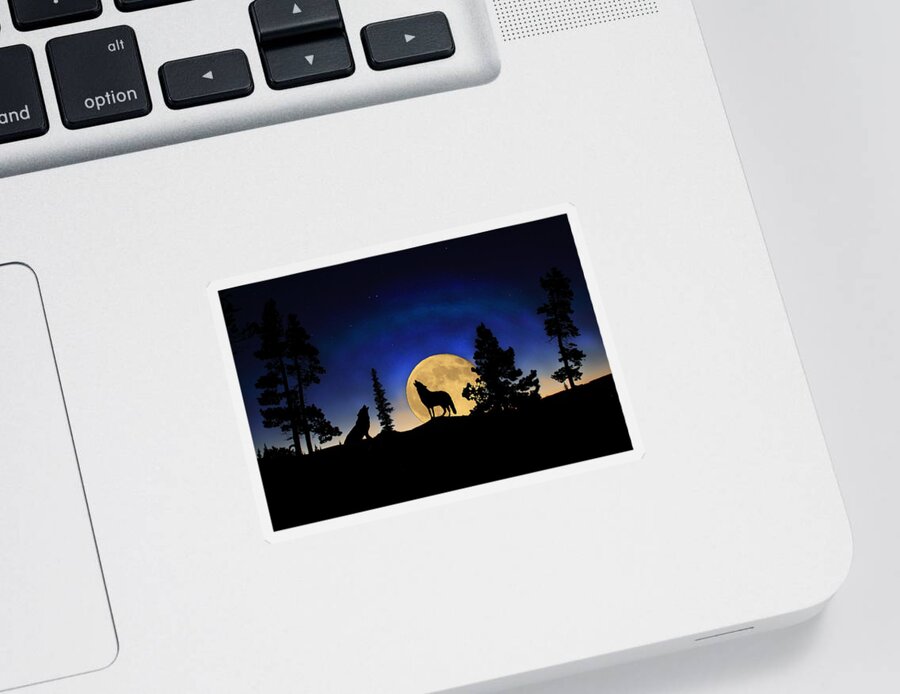 Carnivore Sticker featuring the photograph Glowing Horizon by Shane Bechler