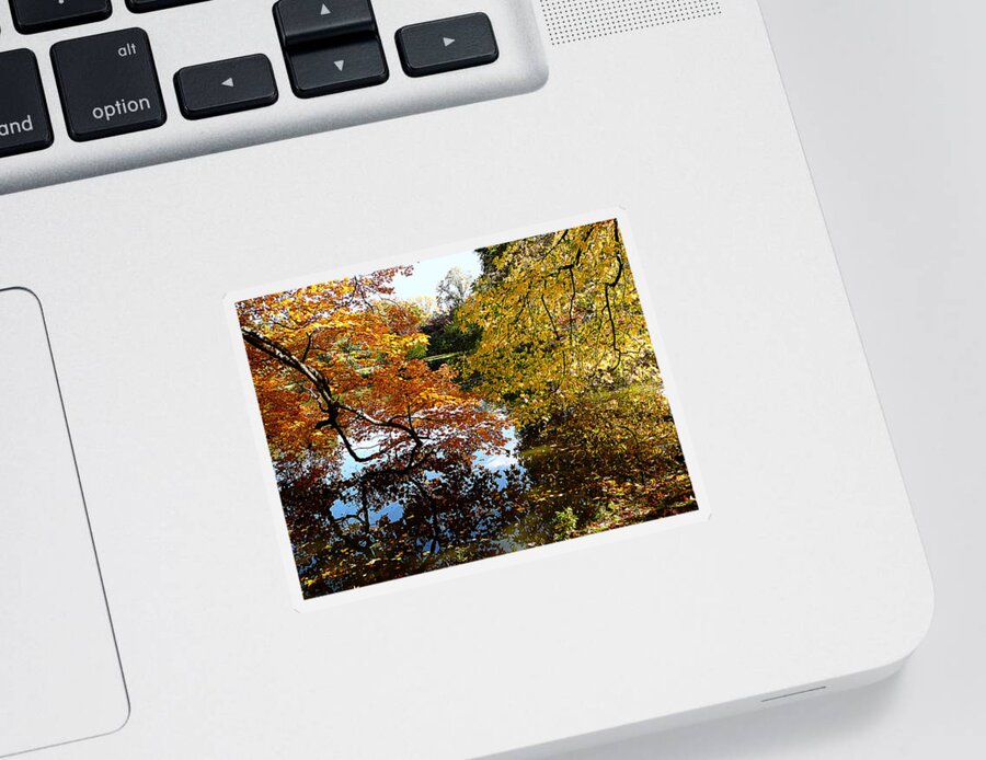 Autumn Sticker featuring the photograph Golden Autumn Trees by Susan Savad
