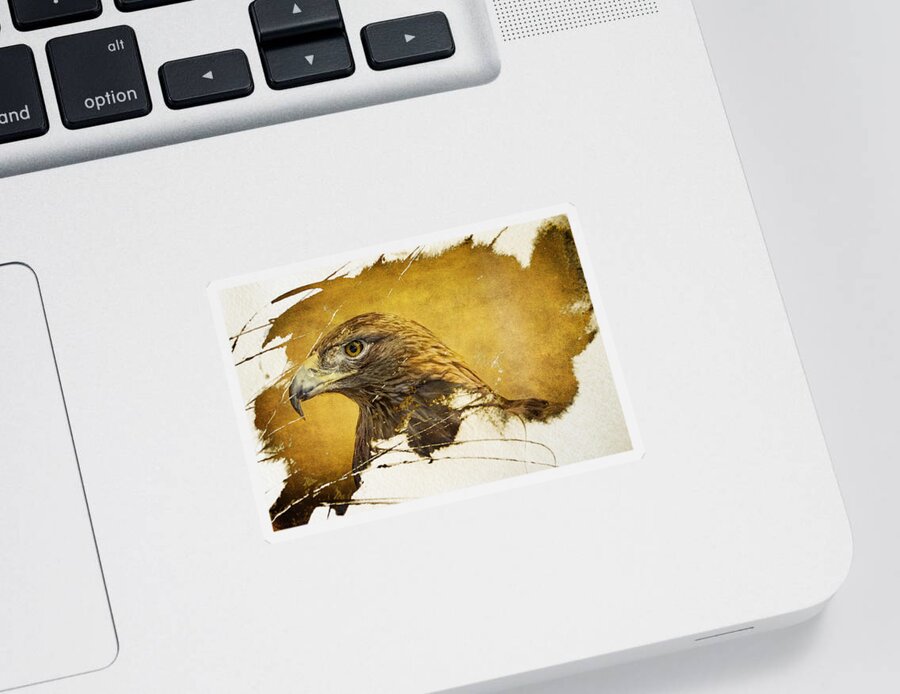 Golden Eagle Sticker featuring the photograph Golden Eagle Grunge Portrait by Eleanor Abramson