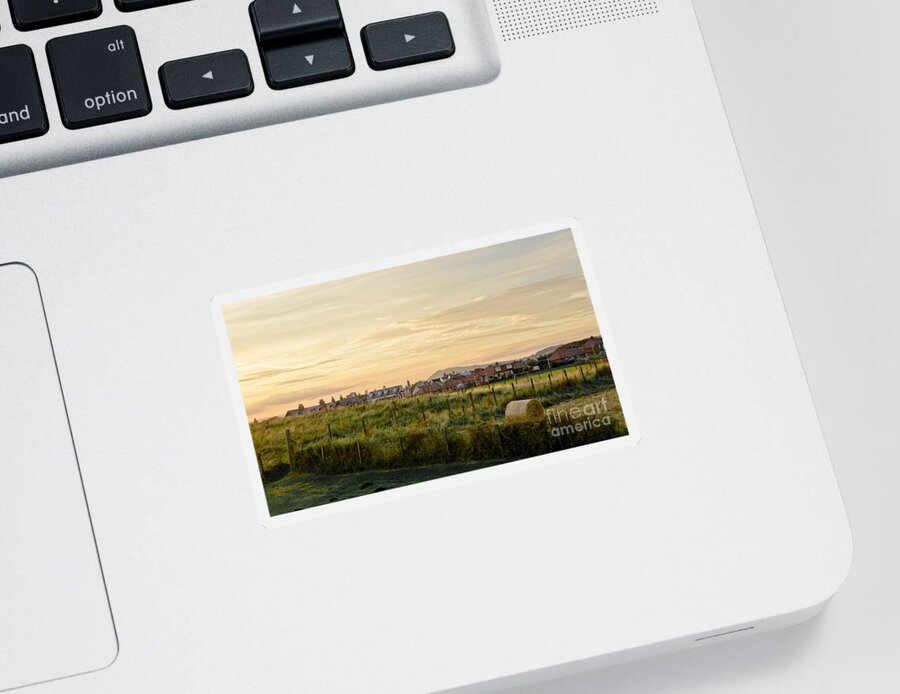 Countryside Landscape Sticker featuring the photograph Golden Evening. by Elena Perelman