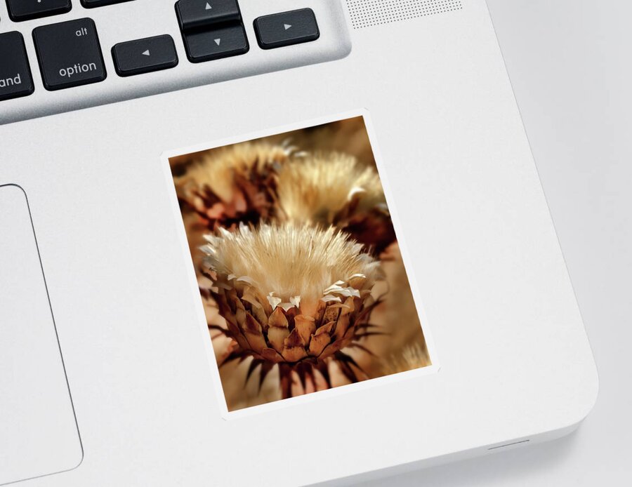 Wild Flowers Sticker featuring the digital art Golden Thistle II by Bill Gallagher