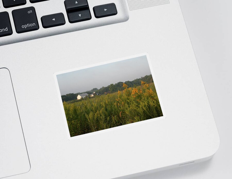 Goldenrod Grove Sticker featuring the photograph Goldenrod Grove by Dylan Punke