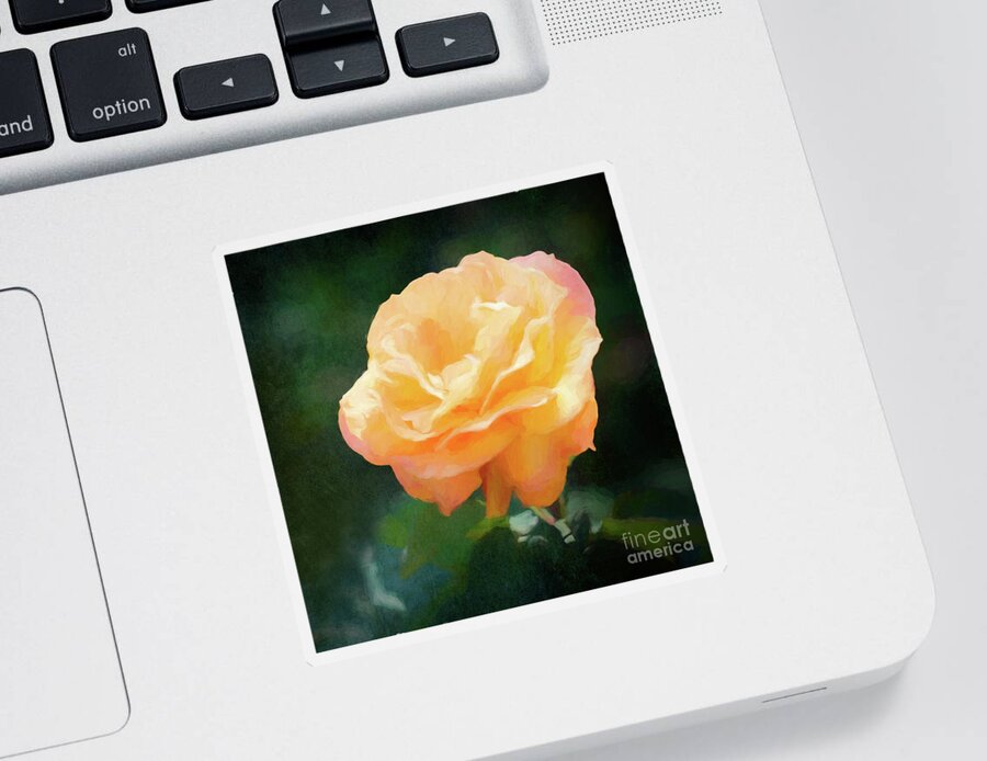 Rose Sticker featuring the photograph Good as Gold Painted Rose by Anita Pollak