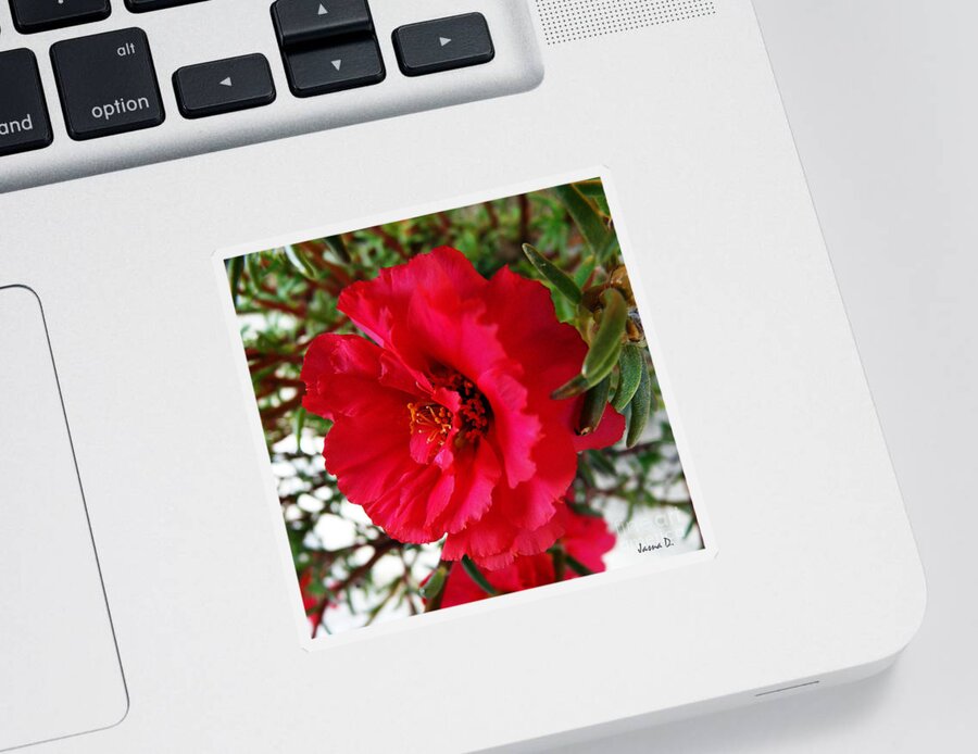 Red Flower Sticker featuring the photograph Gorgeous by Jasna Dragun
