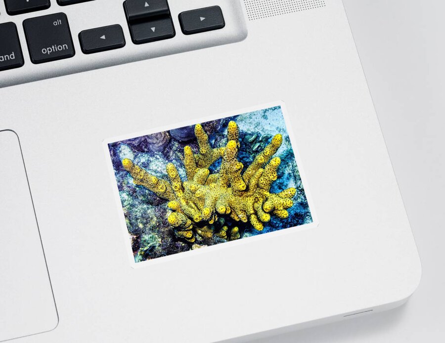 Branching Tube Sponge Sticker featuring the photograph Gorgeous Yellow by Perla Copernik