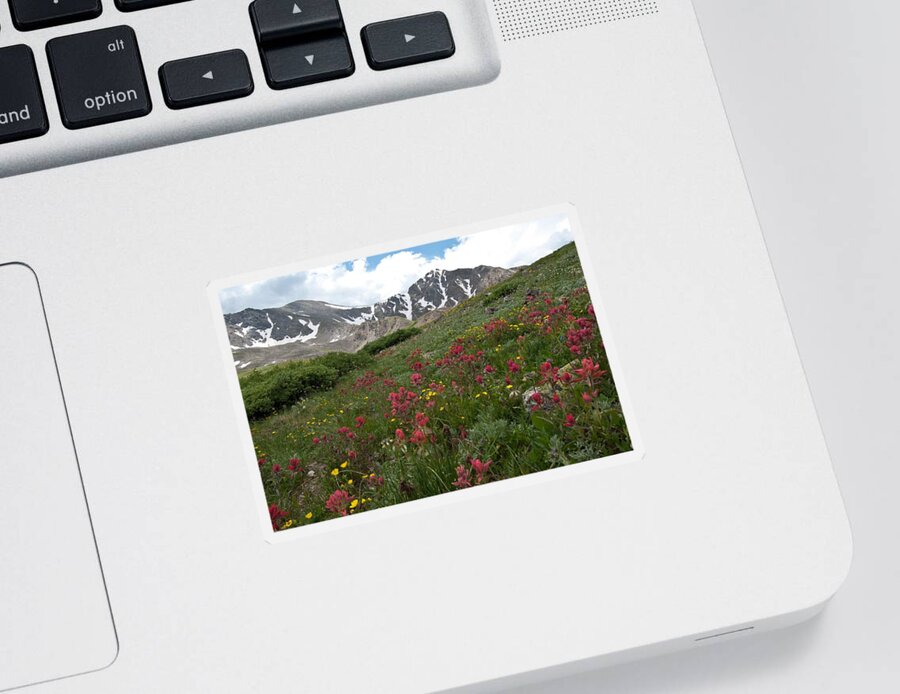 Gray's Peak Sticker featuring the photograph Gray's and Torreys by Cascade Colors