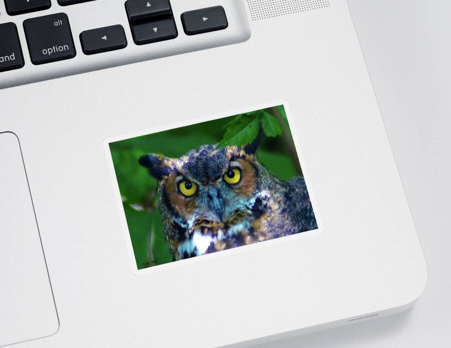 Great Horned Owl Sticker featuring the photograph Great Horned Owl by Kathy Kelly