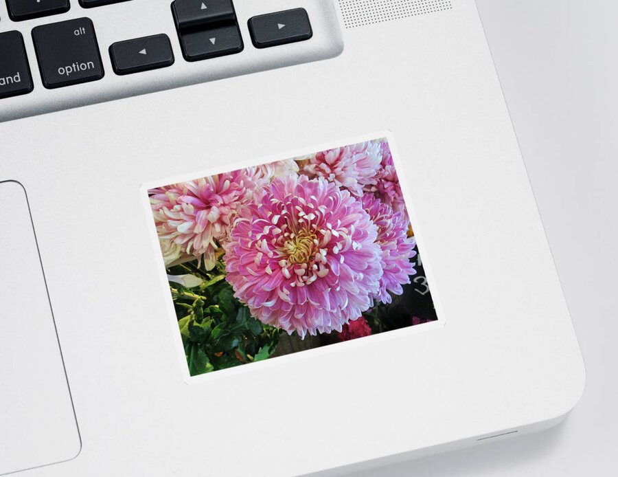 Flower Sticker featuring the photograph Great pleasure by Rosita Larsson