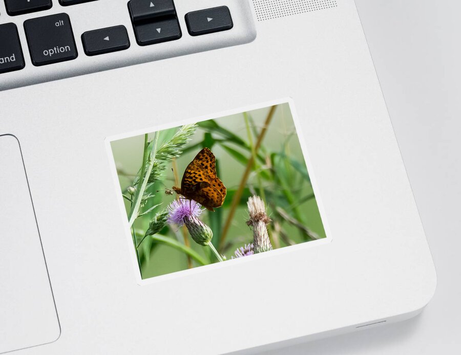 Great Spangled Fritillary Sticker featuring the photograph Great Spangled Fritillary by Holden The Moment