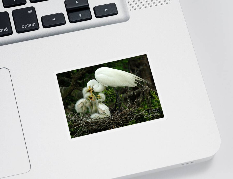 Majestic Great Egret Sticker featuring the photograph Majestic Great White Egret High Island Texas 9 by Bob Christopher