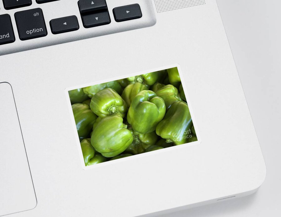 Sweet Bell Peppers Sticker featuring the photograph Green Bell Peppers by Inga Spence