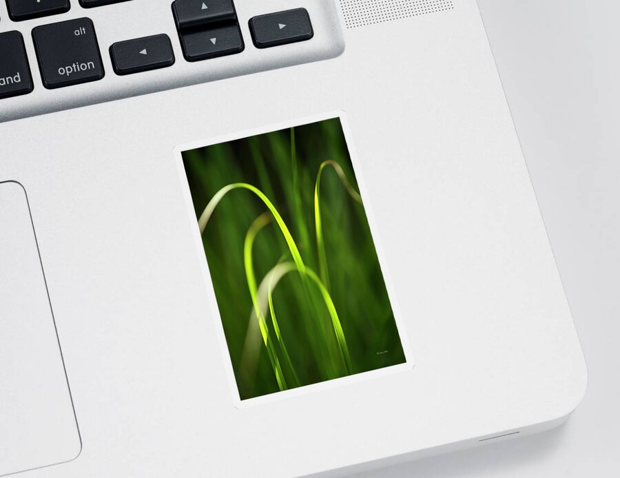Abstract Sticker featuring the photograph Abstract Grass by Christina Rollo