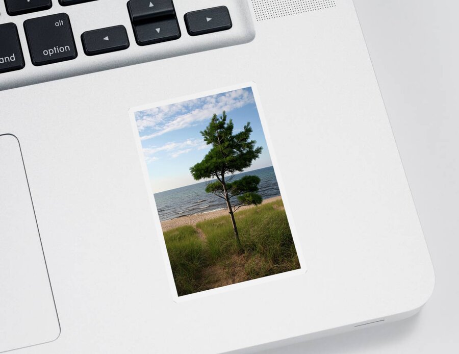 Greetings To The Beach Sticker featuring the photograph Greetings to the Beach by Dylan Punke