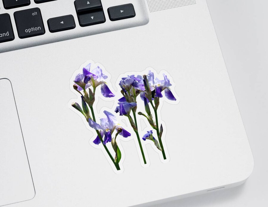 Iris Sticker featuring the photograph Group of Purple Irises by Susan Savad