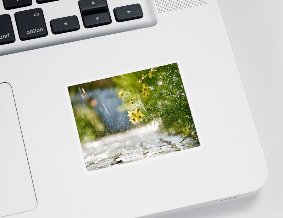 Flowers Sticker featuring the photograph Sprinklers in June by Rachel Morrison