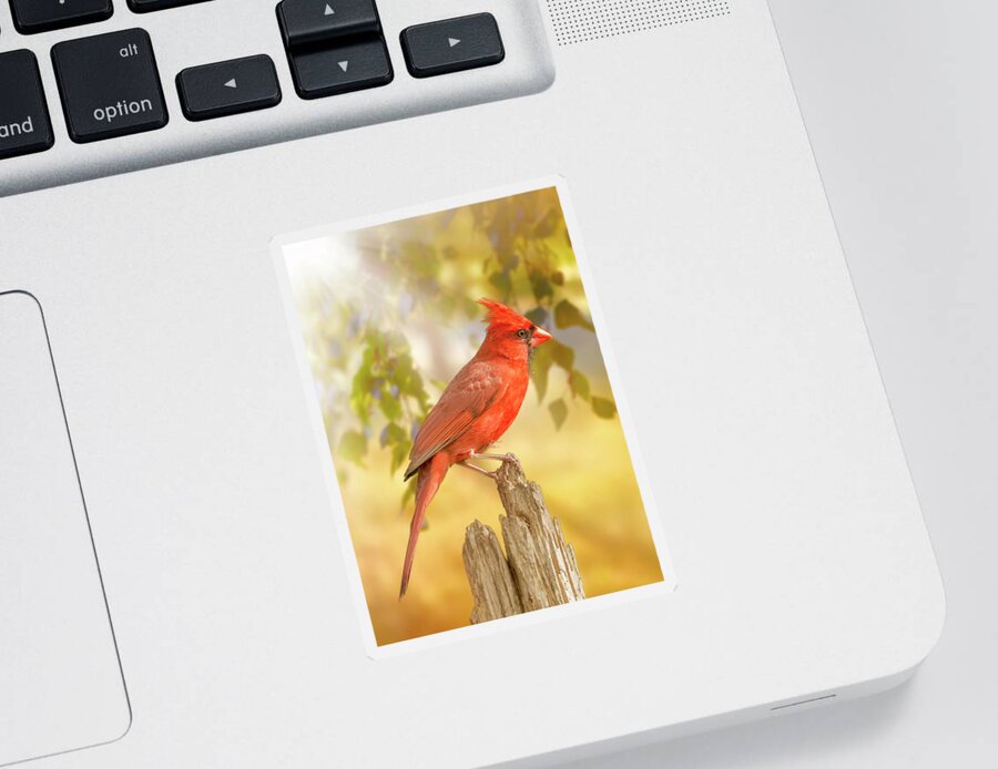 Bird Sticker featuring the photograph Happy Morning Redbird by Bill and Linda Tiepelman