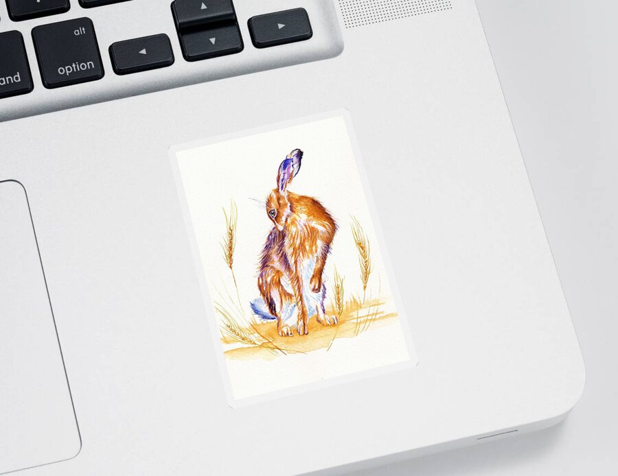 Hare Sticker featuring the painting Hare Wash by Debra Hall