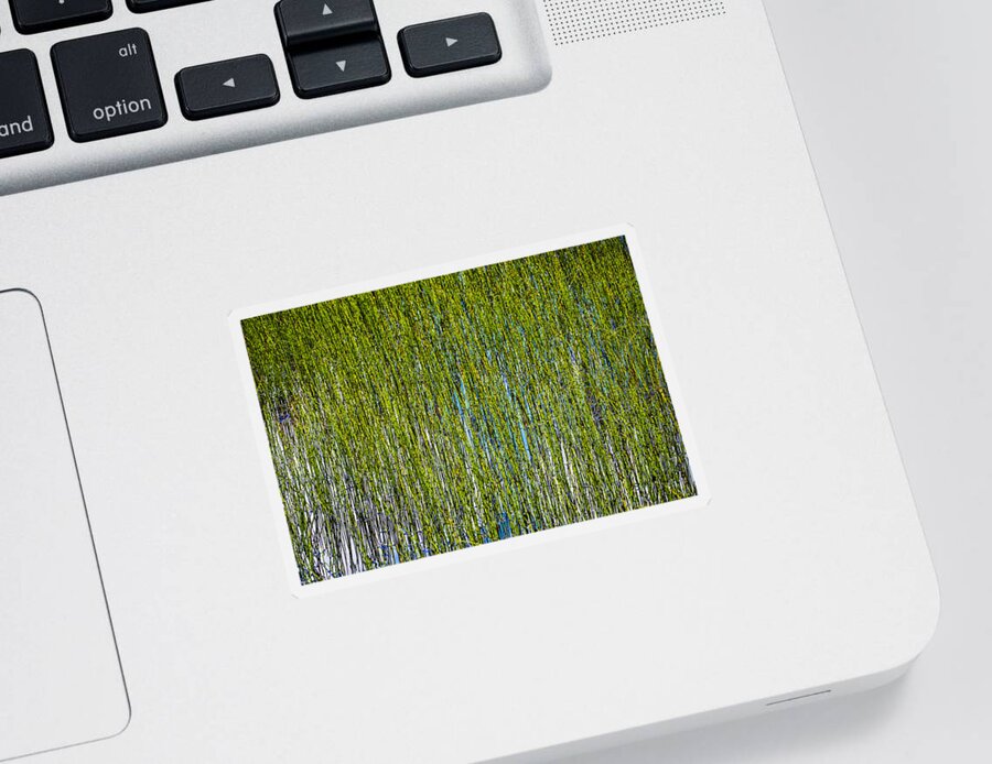 Blade Sticker featuring the photograph Heather Lake Grass by Pelo Blanco Photo
