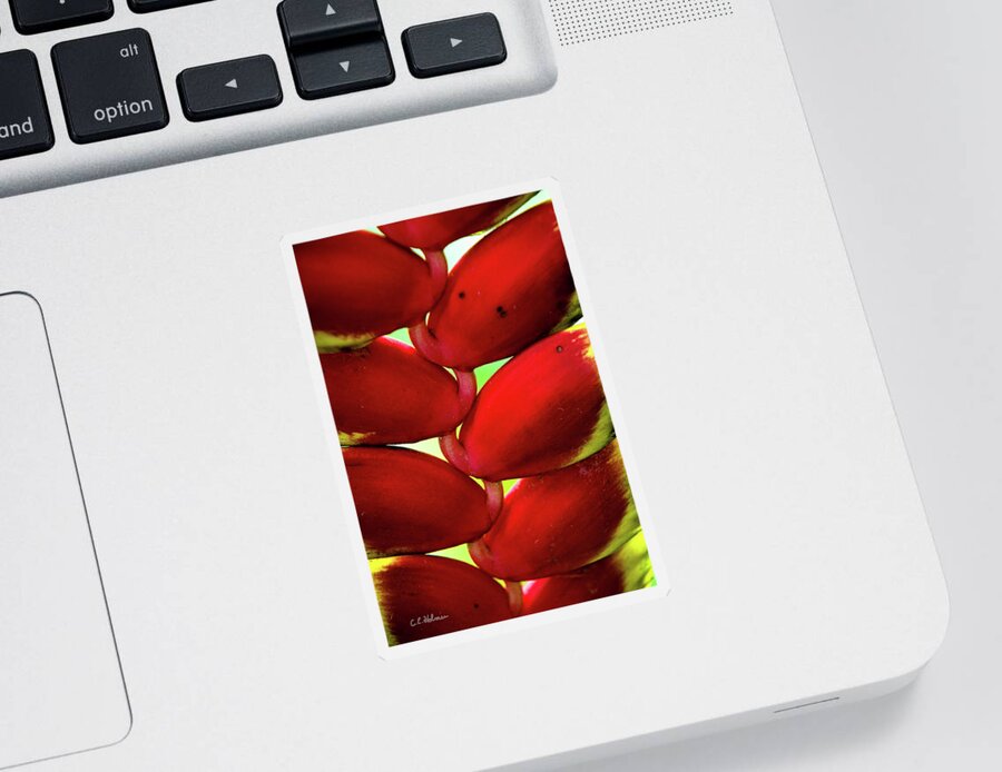 Plant Sticker featuring the photograph Heliconia Detail by Christopher Holmes