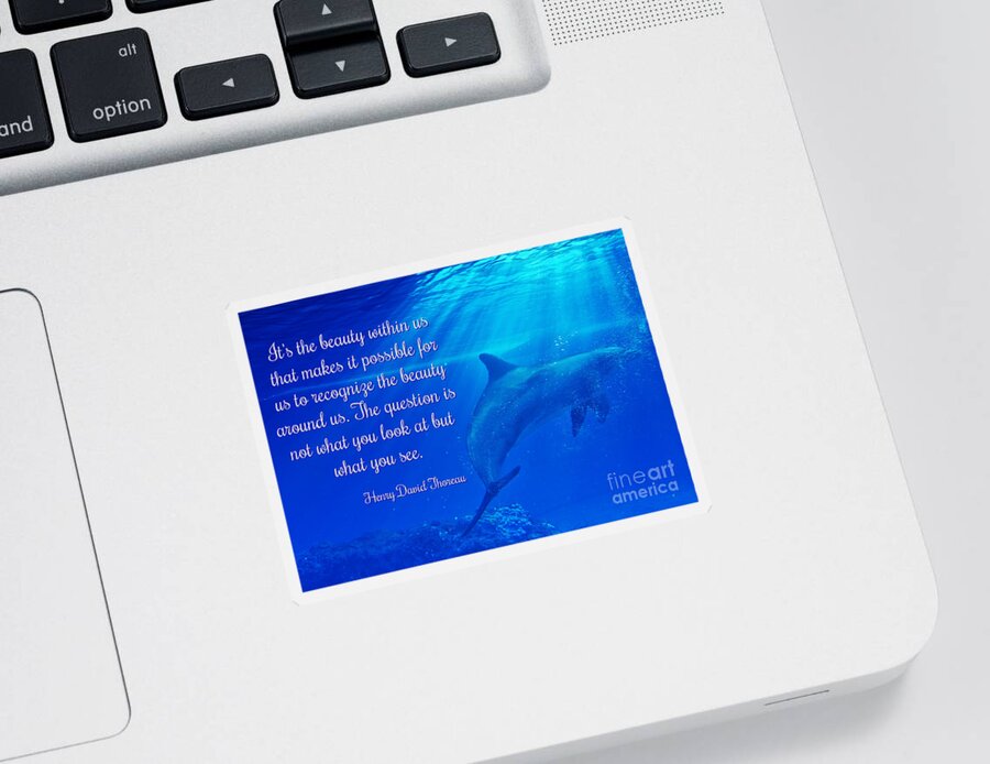Beauty Sticker featuring the photograph Henry David Thoreau Quote on Beauty with Dolphins by Stephanie Laird