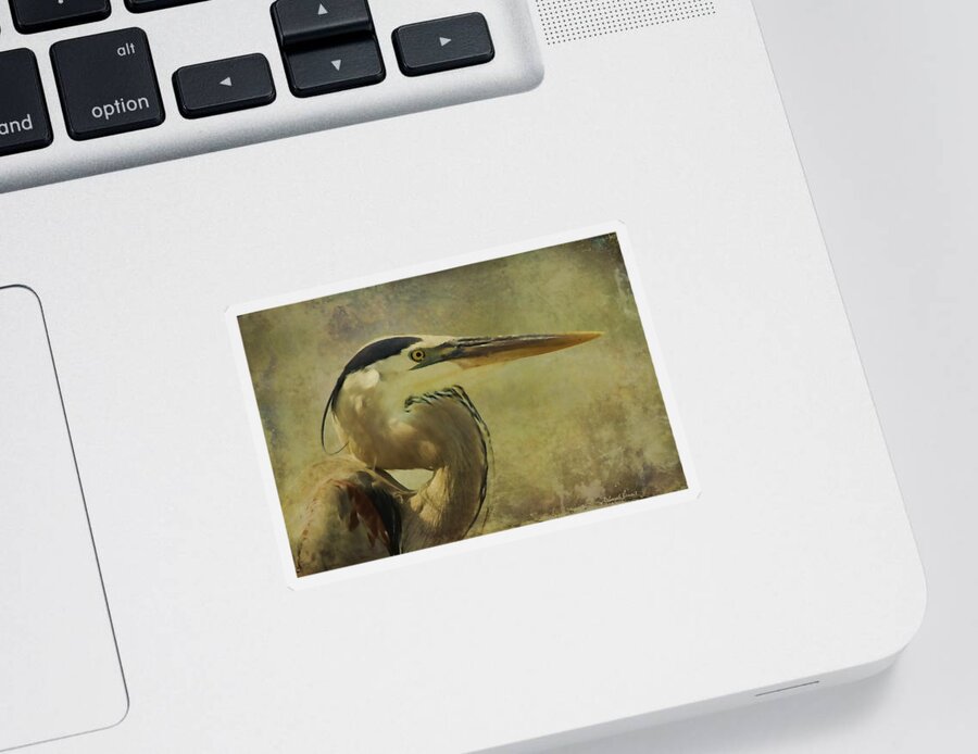 Heron Sticker featuring the photograph Heron On Texture by Deborah Benoit